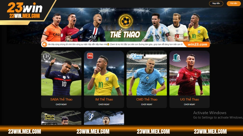 Cá cược thể thao với đa dạng bộ môn chơi