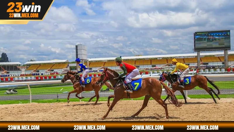 Đua ngựa – Trò chơi tốc độ khiến tim bạn đập loạn nhịp