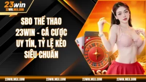 SBO Thể Thao 23WIN – Cá Cược Uy Tín, Tỷ Lệ Kèo Siêu Chuẩn